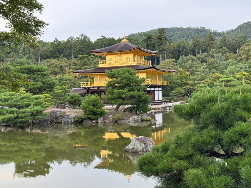 Kyoto & Nara Full Day Customised Tour - Accessibility question: confirm before you go