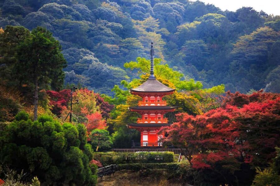 Kyoto & Nara Private Customized, Guided Tour - Who this private Kyoto-and-Nara day suits best
