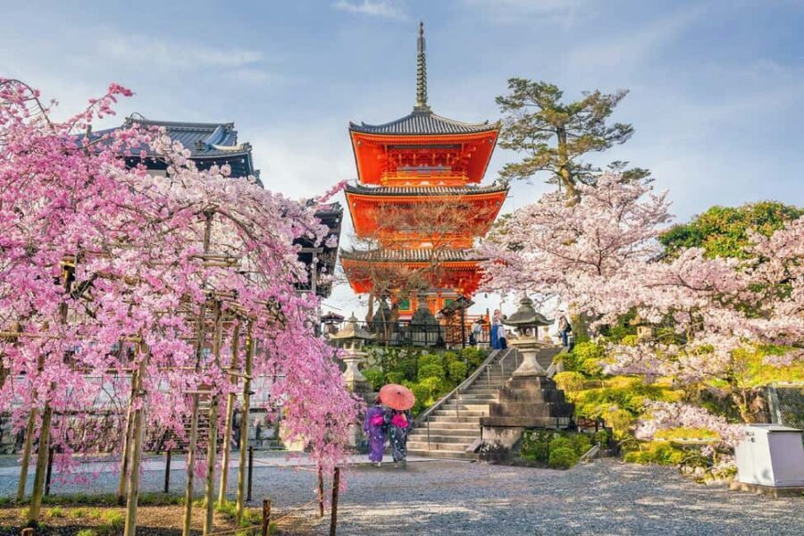 Kyoto & Nara Private Customized, Guided Tour - Pickup timing, van comfort, and why it matters