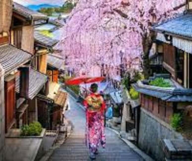 Kyoto & Nara Private Customized, Guided Tour - Nara Park and deer time with real wildlife viewing
