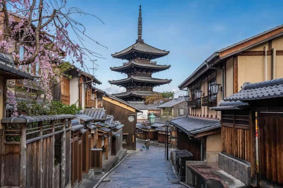 Kyoto & Nara Private Customized, Guided Tour - Kiyomizu-dera and Nishiki Market: temple views plus market time