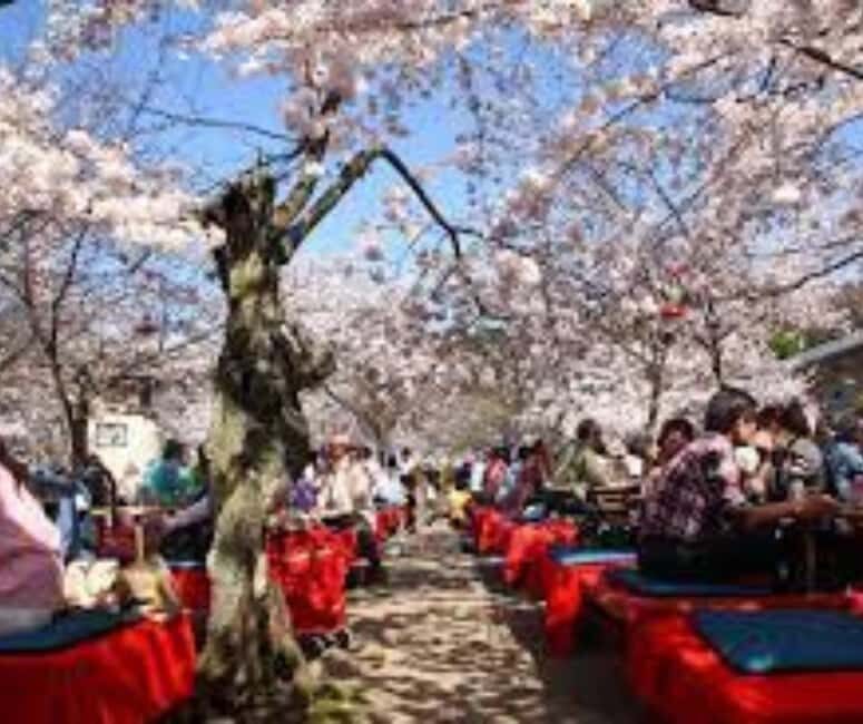 Kyoto & Nara Private Customized, Guided Tour - Guide-driver style can make or break the day