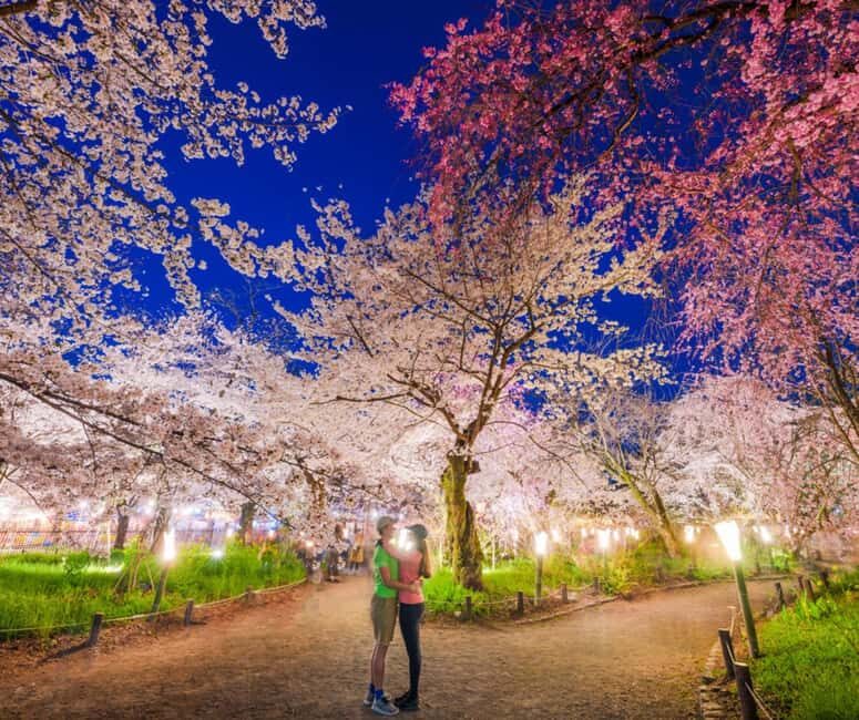Kyoto & Nara Private Customized, Guided Tour - Ticket lines and costs: what’s included, what you still pay