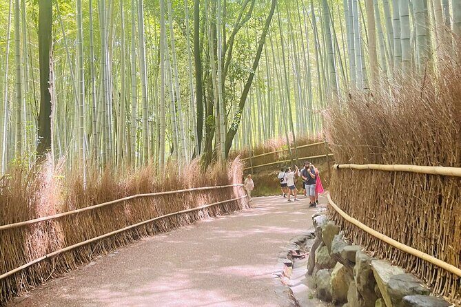 Kyoto & Nara: Private Day Tour by luxury Vehicle & English Guide - Kinkaku-ji Golden Pavilion with included entry