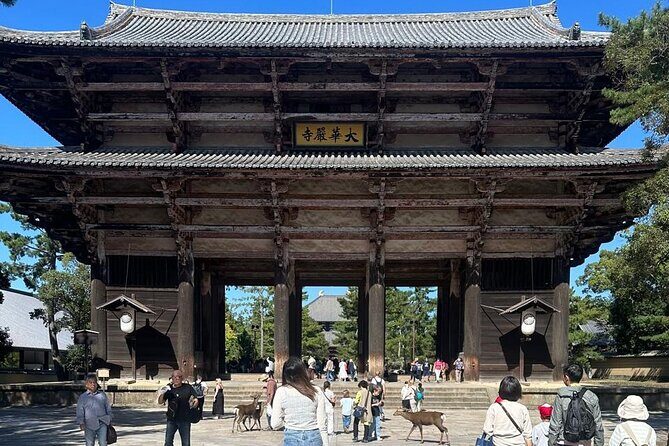 Kyoto & Nara: Private Day Tour by luxury Vehicle & English Guide - Arashiyama Bamboo Forest: what to expect from the 1-hour walk