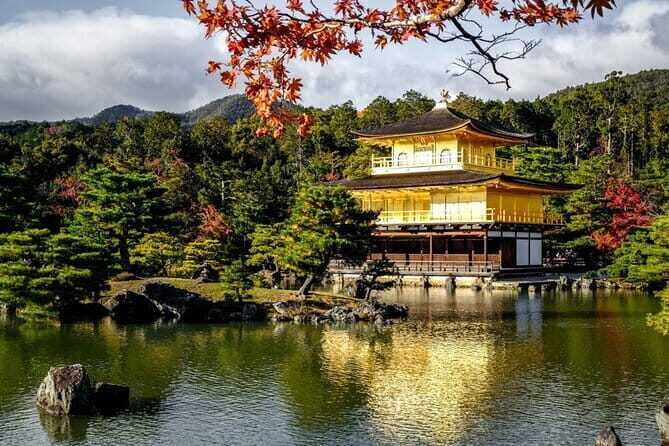 Kyoto & Nara Private Tour from Osaka Kyoto Hotel Pick-up - Nara Park deer feeding: cute, sacred, and easy to mess up