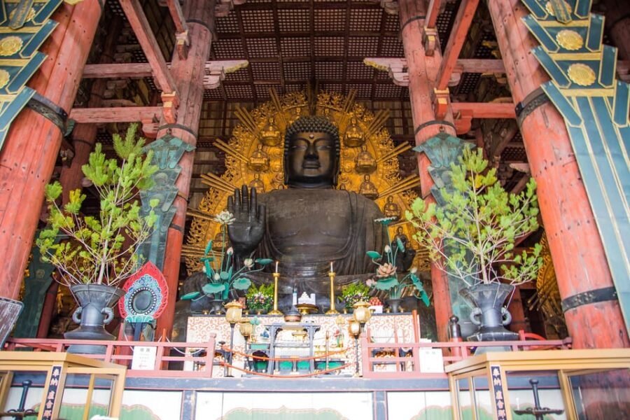 Kyoto: Nara, Todaiji, Kasuga Taisha Shrine Private Full Day - Who this private day suits (and who should skip it)