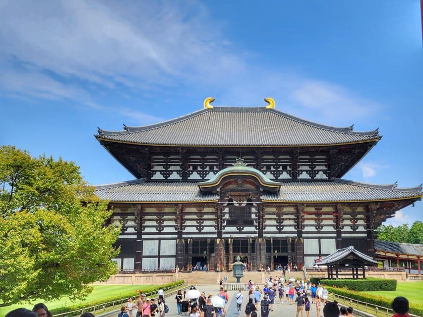 Kyoto: Nara, Todaiji, Kasuga Taisha Shrine Private Full Day - Nara Park: deer encounters, etiquette, and photo timing