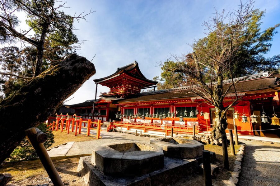 Kyoto: Nara, Todaiji, Kasuga Taisha Shrine Private Full Day - Kofuku-ji and the Heijo-kyo story you’ll actually remember