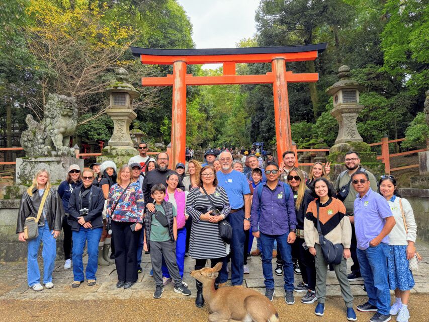 Kyoto: Nara & Traditional Matcha Experience Bus Tour - Key Things That Make This Tour Worth Your Time