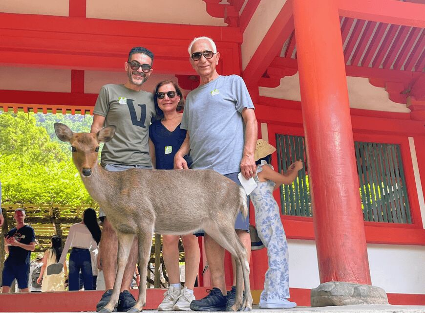 Kyoto: Nara & Traditional Matcha Experience Bus Tour - What the Timeline Feels Like in Real Life