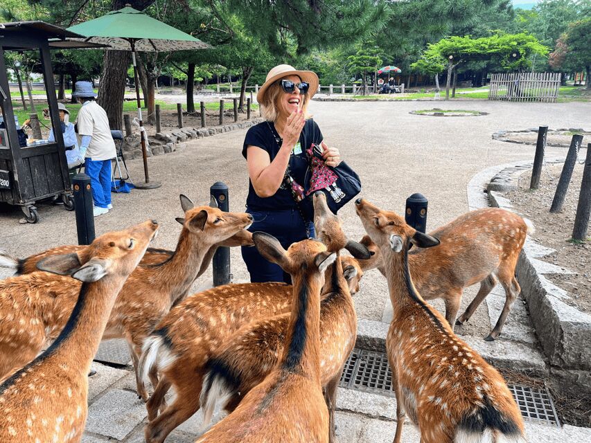 Kyoto: Nara & Traditional Matcha Experience Bus Tour - The Big Idea: A UNESCO-Focused Day That Doesn’t Feel Random