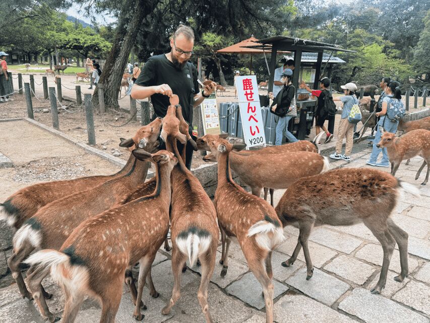 Kyoto: Nara & Traditional Matcha Experience Bus Tour - Byodoin Temple and Phoenix Hall: The 10-Yen Coin Moment
