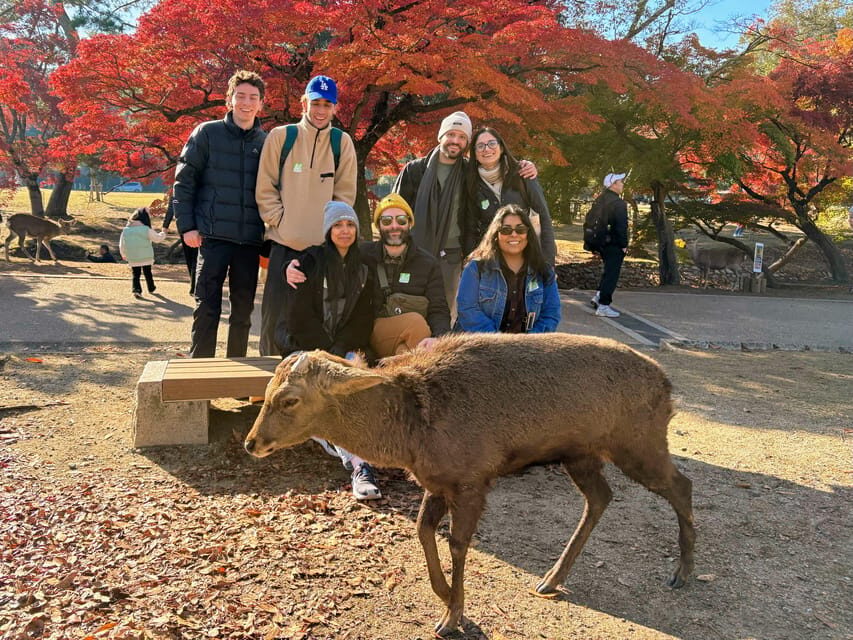 Kyoto: Nara & Traditional Matcha Experience Bus Tour - Meeting Point and Coach Ride: Start Easy, Ride Comfortable