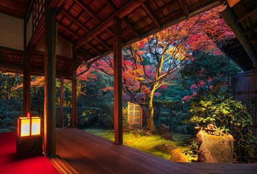 Kyoto: Nighttime Zen Meditation and Matcha Tea Experience - Keishunin Temple after dark: what changes at night