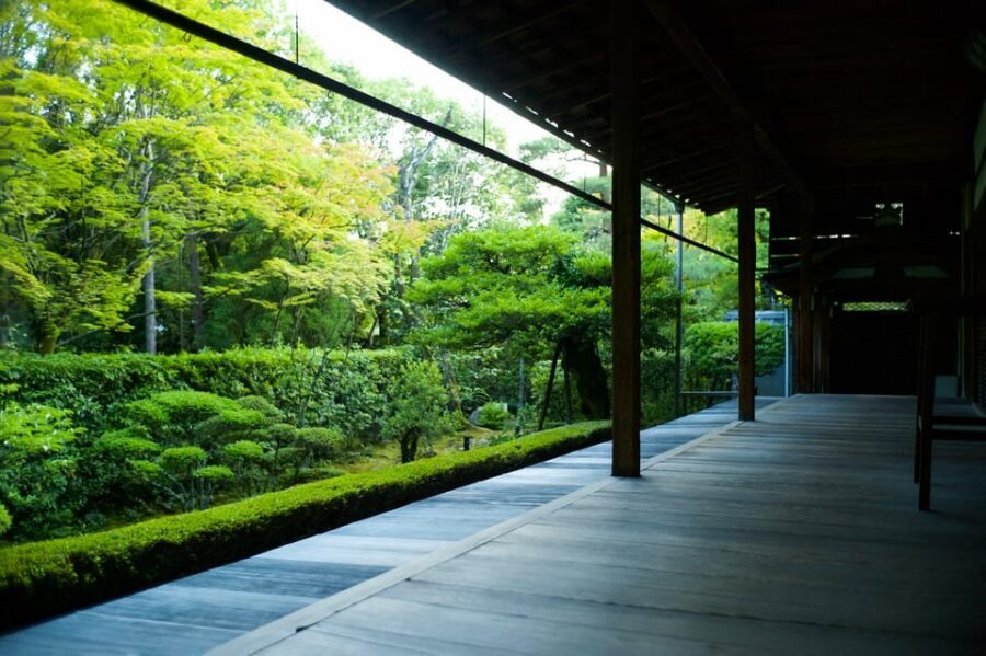 Kyoto: Nighttime Zen Meditation and Matcha Tea Experience - The four illuminated gardens: more than pretty photos
