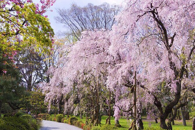 Kyoto: Nijo Castle World Heritage Guided Tour with Admission - Who This Nijo Castle Tour Fits Best