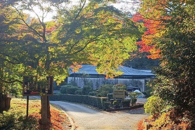 Kyoto Off The Beaten Path: Hidden Zen Garden & Magical Shrine - Pacing and walking level: what “active” really means