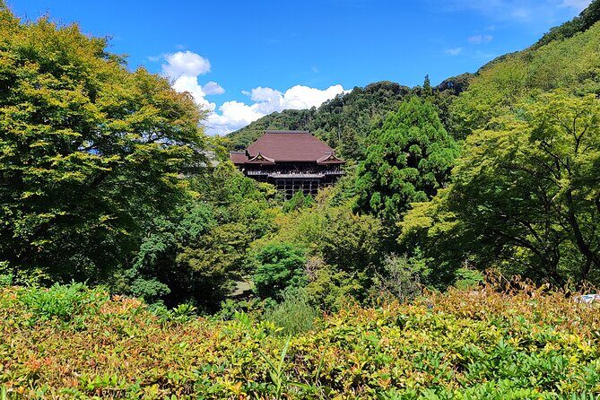 Kyoto Off The Beaten Path: Hidden Zen Garden & Magical Shrine - Who this tour suits best (and who might not love it)