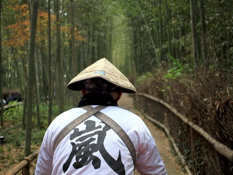Kyoto/Osaka: Kinkakuji, Bamboo Forest, and Nara Deer Park - Price and Value: What $69 Really Buys You