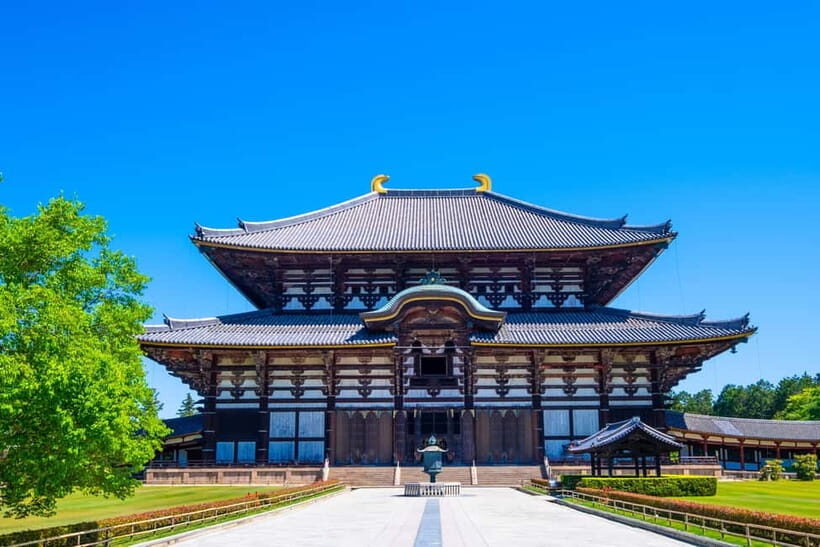 Kyoto/Osaka: Kinkakuji, Bamboo Forest, and Nara Deer Park - Meeting the Day: Bus Comfort, Clear Start Points, and a Realistic Schedule