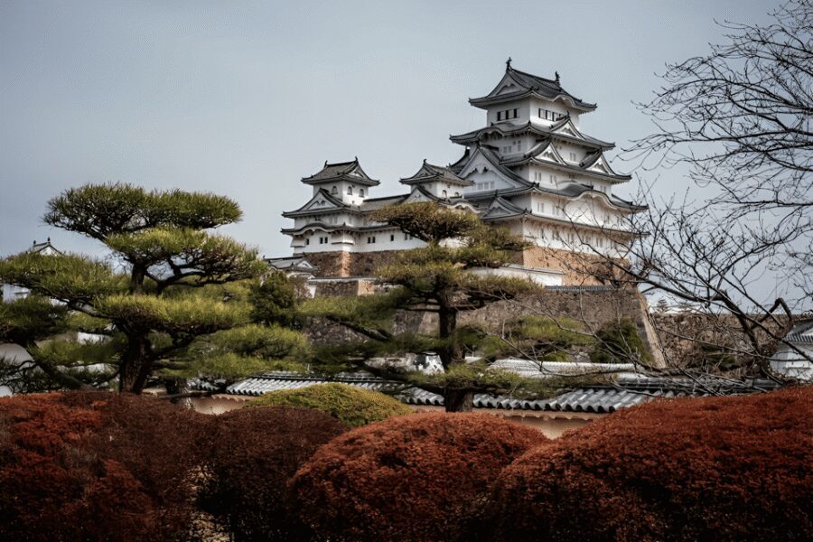 Kyoto/Osaka: Kobe & Himeji Journey Through Culture & History - Price and Value: What $451 Per Group Really Buys