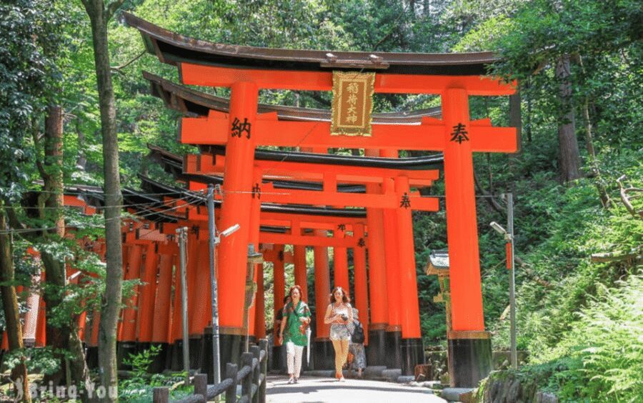Kyoto/Osaka: Kyoto and Nara Customizable Guided Day Trip - Key things to know before you go