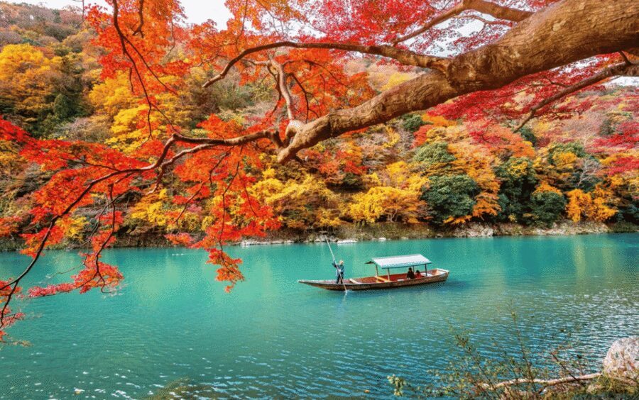 Kyoto/Osaka: Kyoto and Nara Customizable Guided Day Trip - A Kyoto–Nara day that’s built around your interests (not a fixed checklist)