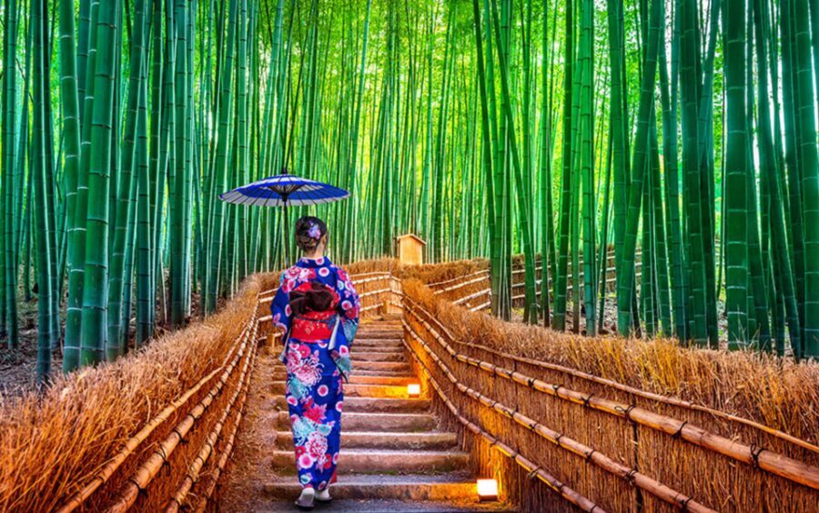 Kyoto/Osaka: Kyoto and Nara Customizable Guided Day Trip - Fushimi Inari Taisha: torii gates, good pacing, and the value of skipping friction