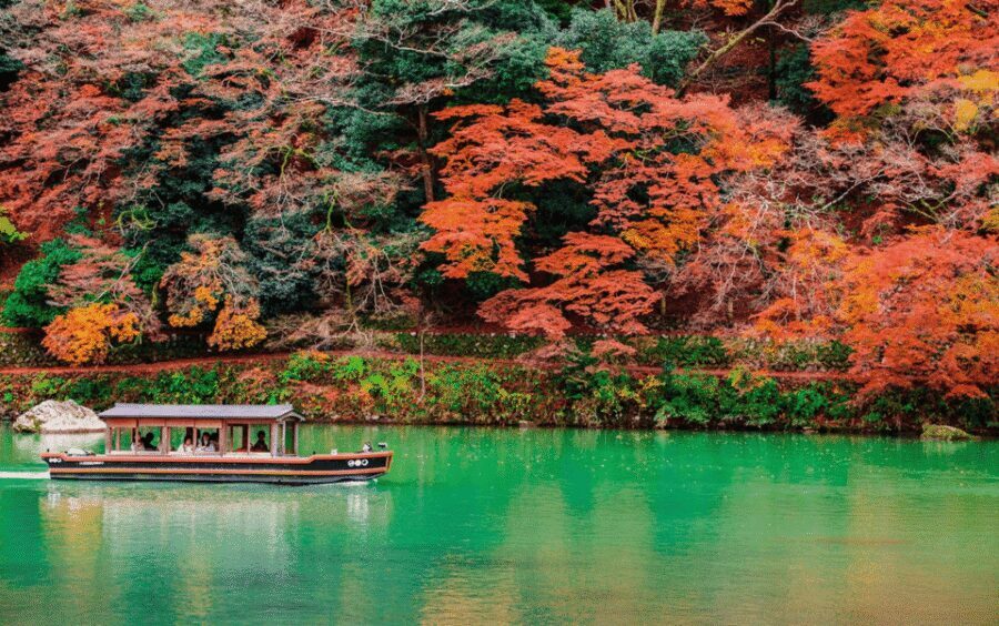 Kyoto/Osaka: Kyoto and Nara Customizable Guided Day Trip - Arashiyama Bamboo Grove: where early timing and foot traffic matter