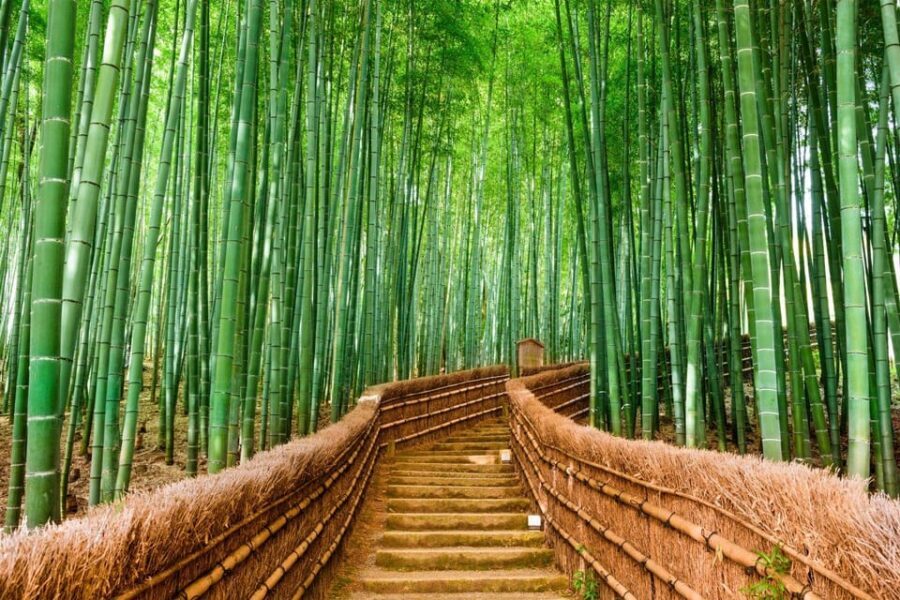 Kyoto/Osaka: Kyoto and Nara Customized Private Guided Tour - Who this tour fits best (and who should reconsider)
