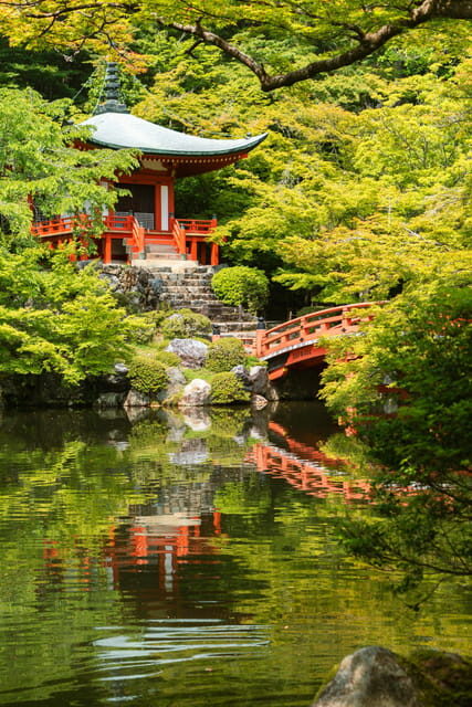 Kyoto/Osaka: Kyoto and Nara Customized Private Guided Tour - Value check: is $477 per group a smart use of money?
