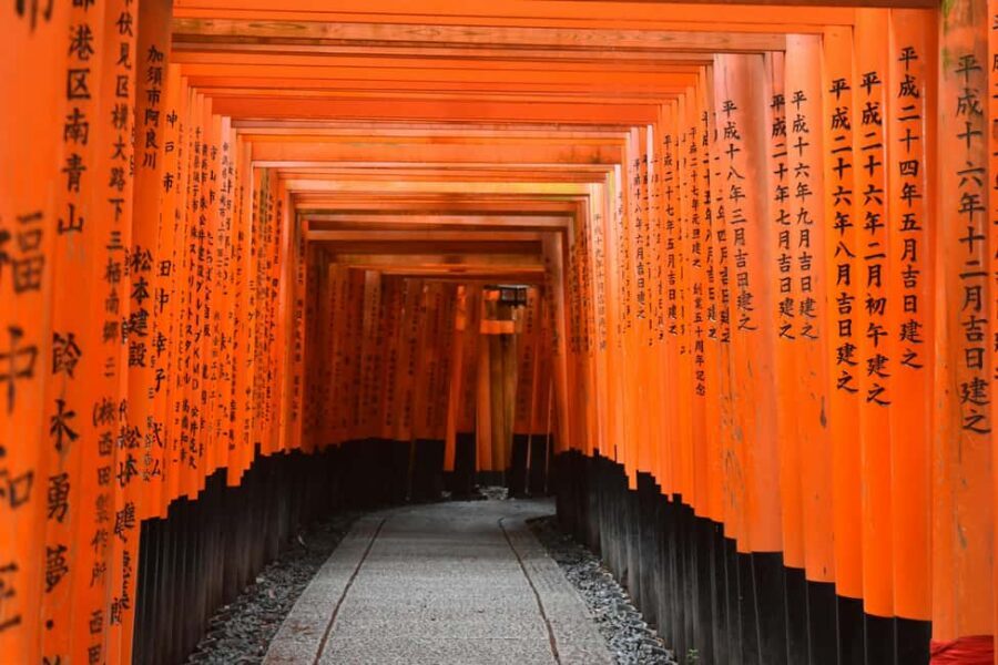 Kyoto/Osaka: Kyoto&Nara Customized Private Highlights Tour - Key things that make this tour work well