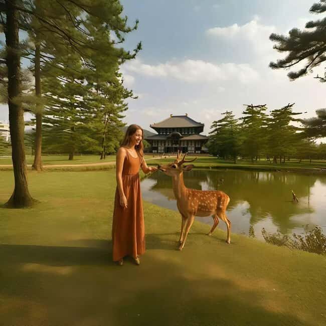 Kyoto/Osaka: Kyoto&Nara Customized Private Highlights Tour - Nishiki Market food browsing and Gion at a walking pace