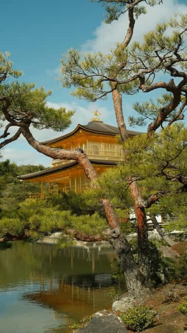 Kyoto/Osaka: Kyoto&Nara Customized Private Highlights Tour - Is the $441 per group price good value?