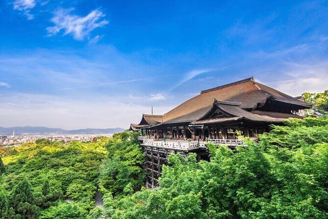 Kyoto, Osaka, Nara Full Day tour by Car English speaking Driver - Private Car Convenience: What You’re Really Paying For