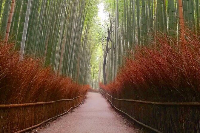 Kyoto, Osaka, Nara Full Day tour by Car English speaking Driver - Gion: Geisha District Atmosphere in a 30-Minute Pocket