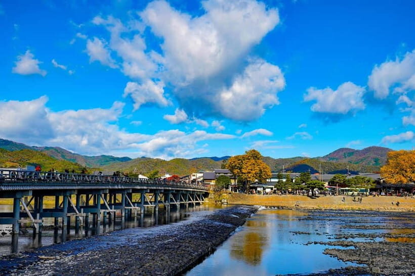 Kyoto/Osaka: Nara, Fushimi Inari Taisha, Arashiyama Bus Tour - Nara Park: feeding deer and spotting the etiquette fast