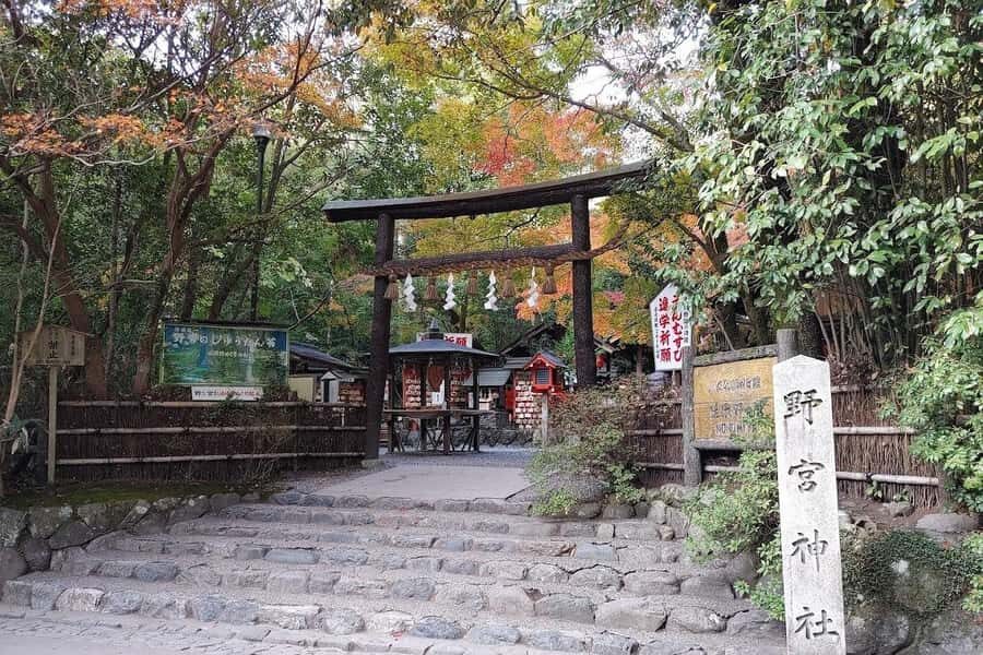 Kyoto/Osaka/Nara Private Customized Tour with Guide - Nara Park deer feeding: the moment kids remember