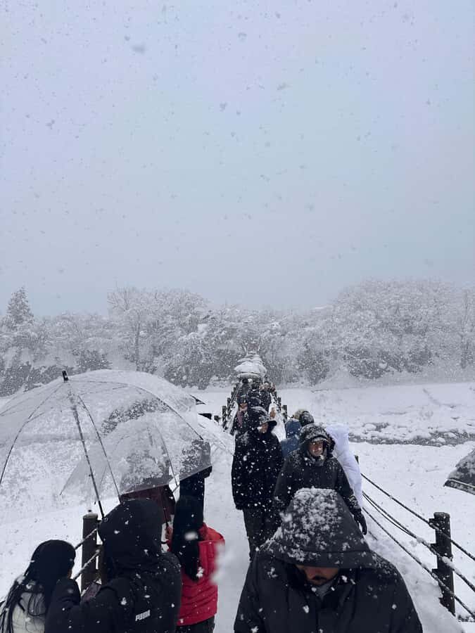 Kyoto/Osaka/Nara Private Customized Tour with Guide - Customization in real life: guides who adjust to your family