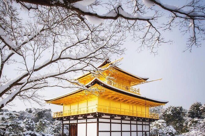Kyoto, Osaka, Nara Private Tour by Car English Driver Guide - Nara full-day plan: deer park, Todai-ji, Horyu-ji, Kasuga Taisha, and Naramachi