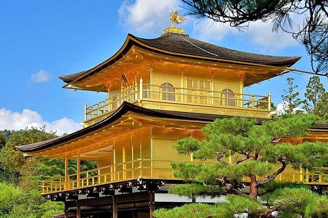Kyoto, Osaka, Nara Private Tour by Car English Driver Guide - The guide factor: when it’s more driving, when it’s truly guided