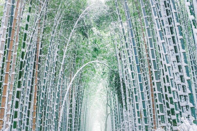 Kyoto, Osaka, Nara Private Tour by Car English Driver Guide - Who this tour is best for