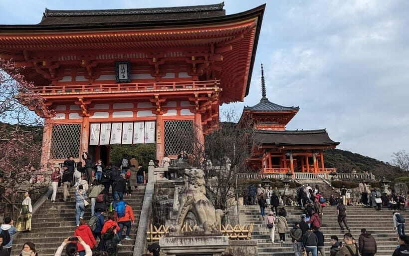 Kyoto: Personalize, private tour (3h, 5h, 8h) [W/Car Option] - How an unscripted Kyoto day actually works
