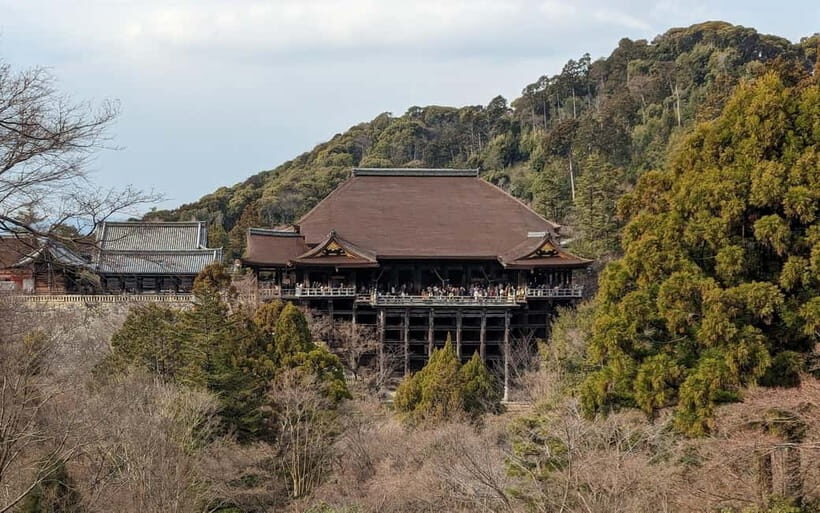 Kyoto: Personalize, private tour (3h, 5h, 8h) [W/Car Option] - Getting around Kyoto: train, taxi, and the car option