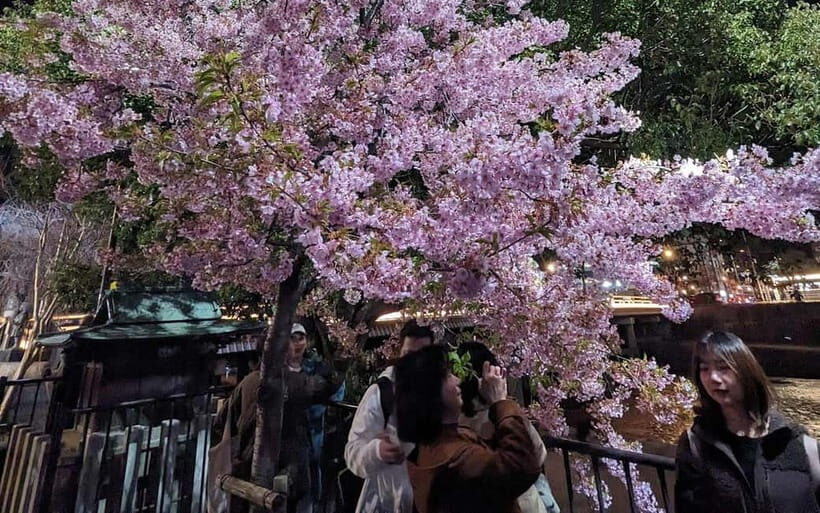 Kyoto: Personalize, private tour (3h, 5h, 8h) [W/Car Option] - Budget reality: what the $76 covers and what you’ll add