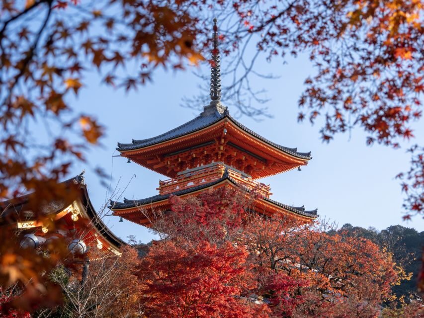 Kyoto: Personalized Guided Private Tour - Fushimi Inari shrine: those red torii gates at a human pace