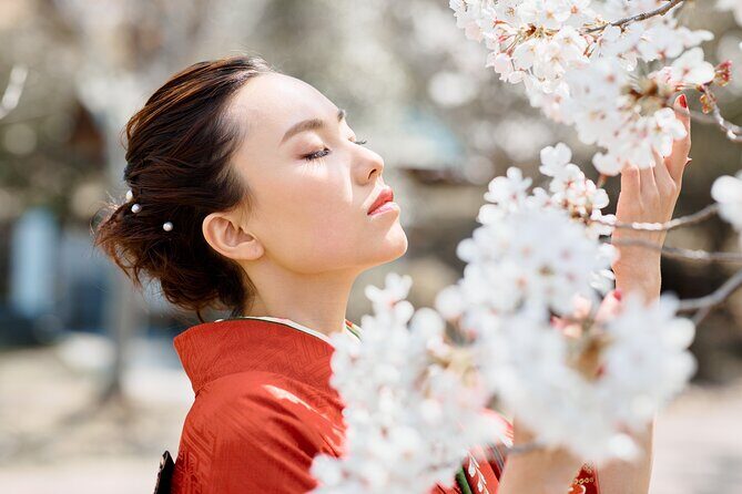 Kyoto Photography Tour - Value check: is $325.18 worth it for one hour?