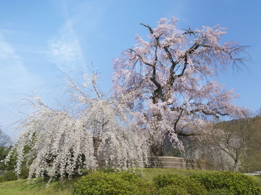 Kyoto: Private 2.5 Hour Historical Walking Tour - Kiyomizu-dera: Kannon Statues, the Nail-less Stage, and Pure Water