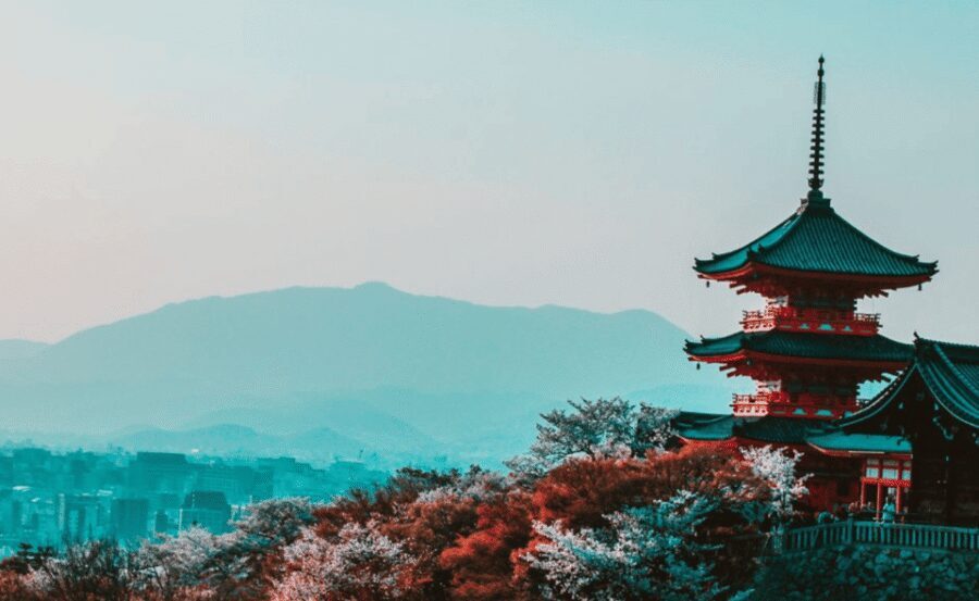 Kyoto : Private Custom Walking Tour With A Local Guide - Why a private Kyoto walk beats going solo